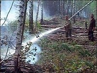 Hašení lesních porostů v okolí Moskvy