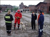 Polsko 2004, psovod po skončení práce naslouchá hodnoceni