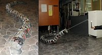 hasičský hadí robot Anna Konda