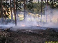 požár lesa Janov nad Nisou