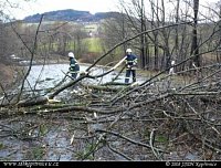 Likvidace padlých stromů přes komunikaci pár set metrů před obcí Závišice