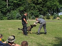 Ukázka policejních psovodů Ukázka policejních psovodů