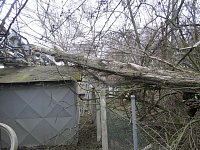 foto ze zásahu ve Vejprnické ulici v Plzni, kde strom padl na potrubí