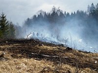Požár lesa v Horní Dobrouči
