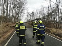Milevští hasiči při likvidaci nebezpečného stromu na komunikaci směrem na Týnici. (23.2.2020)